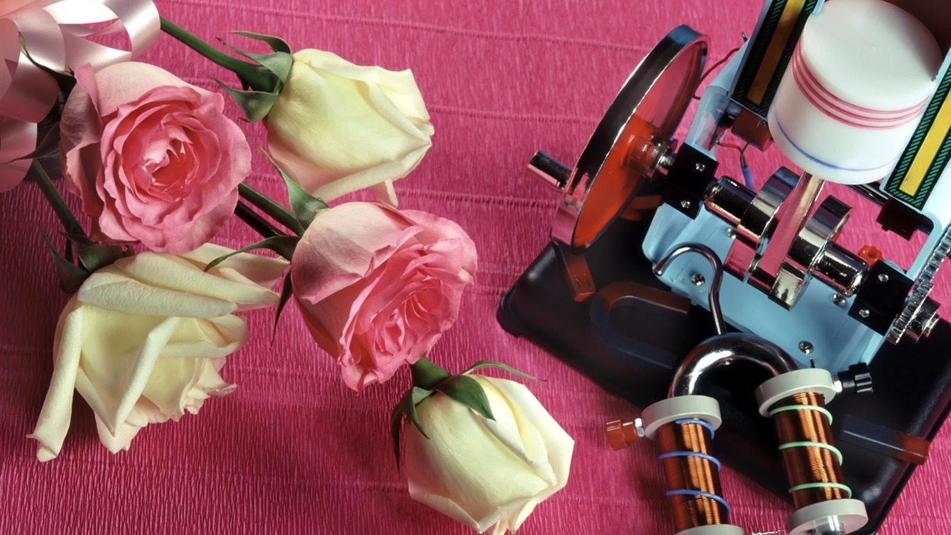 鮮花與儀器壁紙 #11 - 1366x768