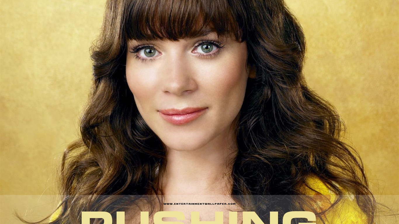 Pushing Daisies wallpaper #21 - 1366x768