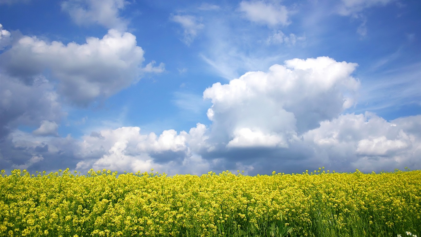 Wunderbare Welt schöne Tapete #6 - 1366x768