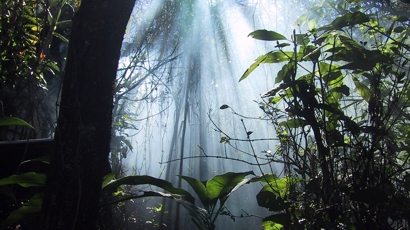 Wunderbare Welt schöne Tapete #11 - 1366x768