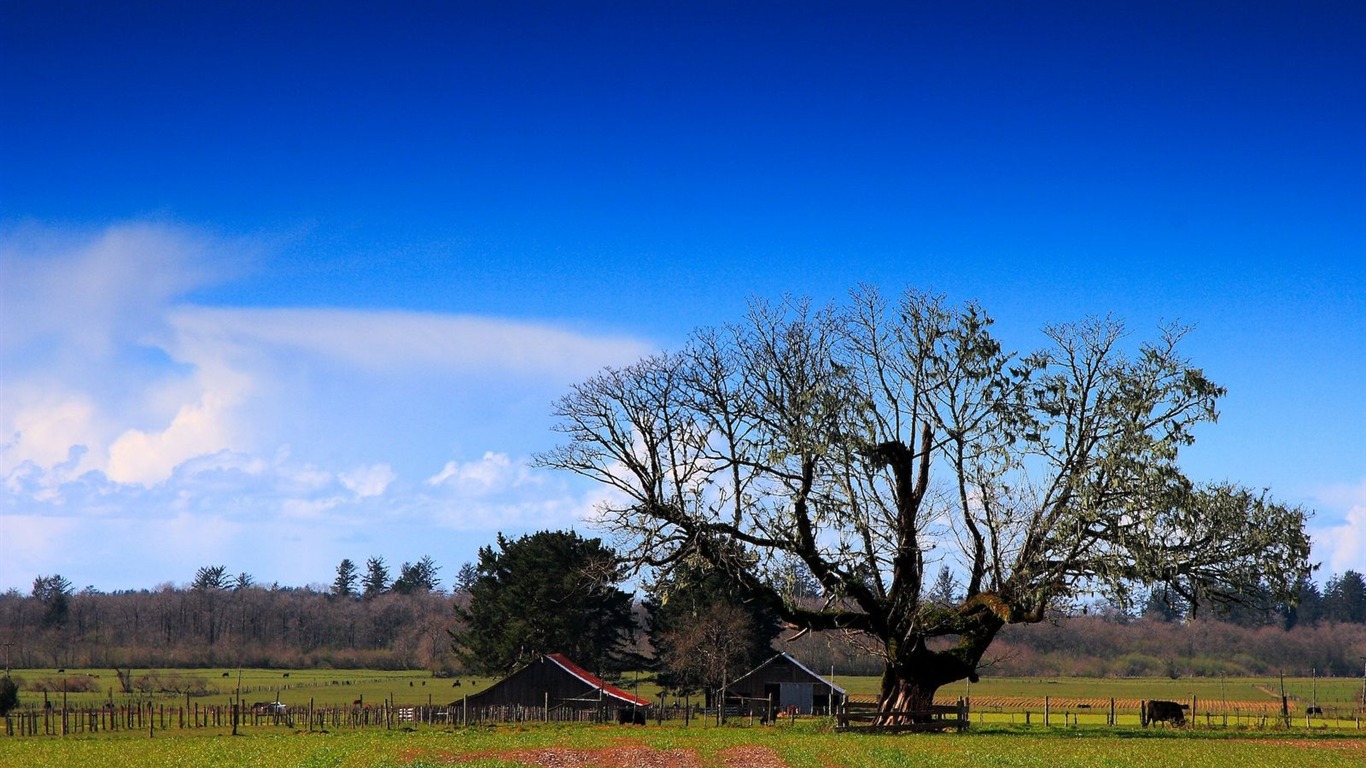 Featured Landschaft Tapeten Ersticken Schönheit #9 - 1366x768