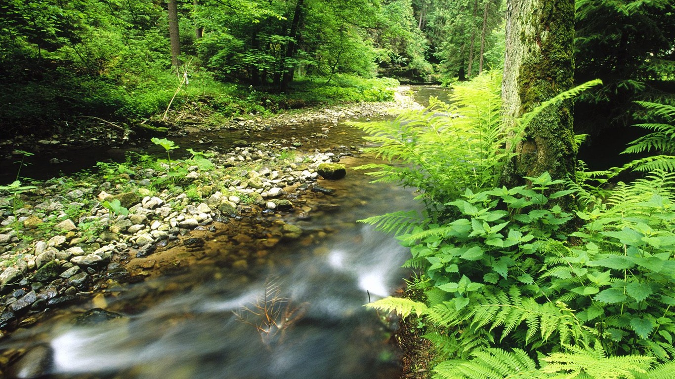 Webshots Krajina Tapety na plochu (11) #1 - 1366x768