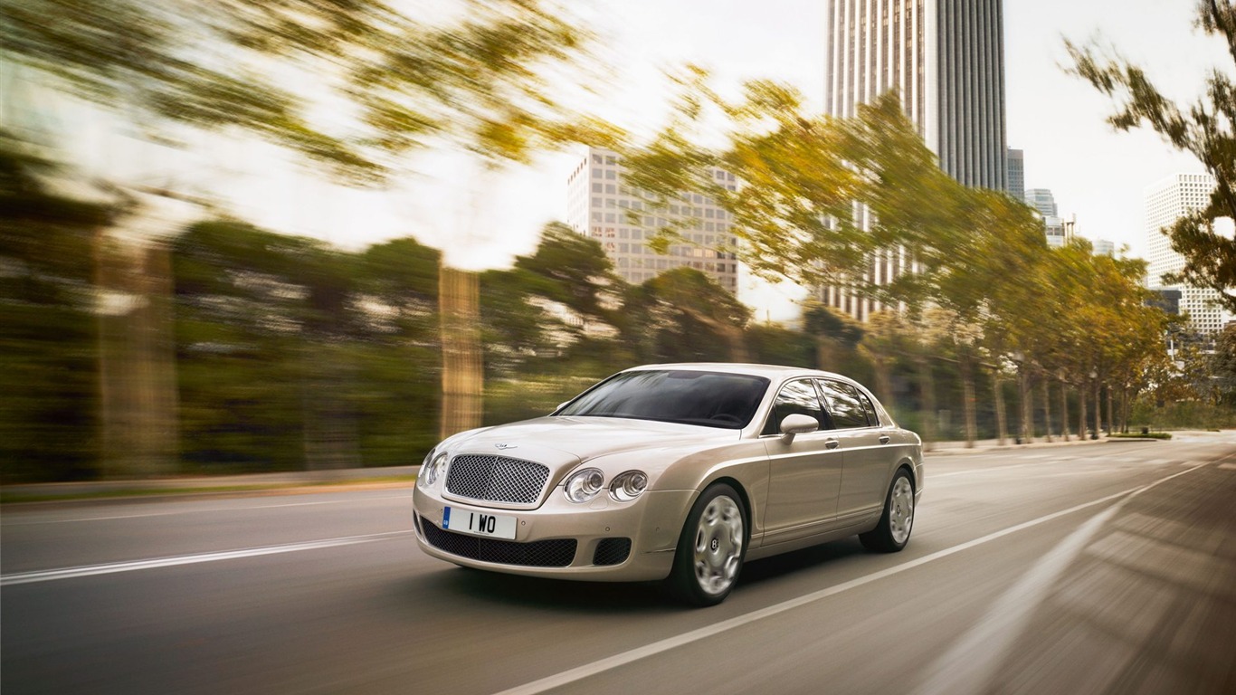 Bentley 賓利 壁紙專輯(二) #12 - 1366x768