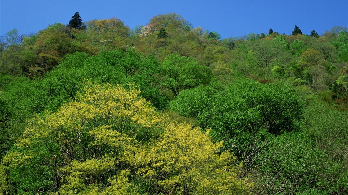 自然風光精選(十) #13 - 1366x768