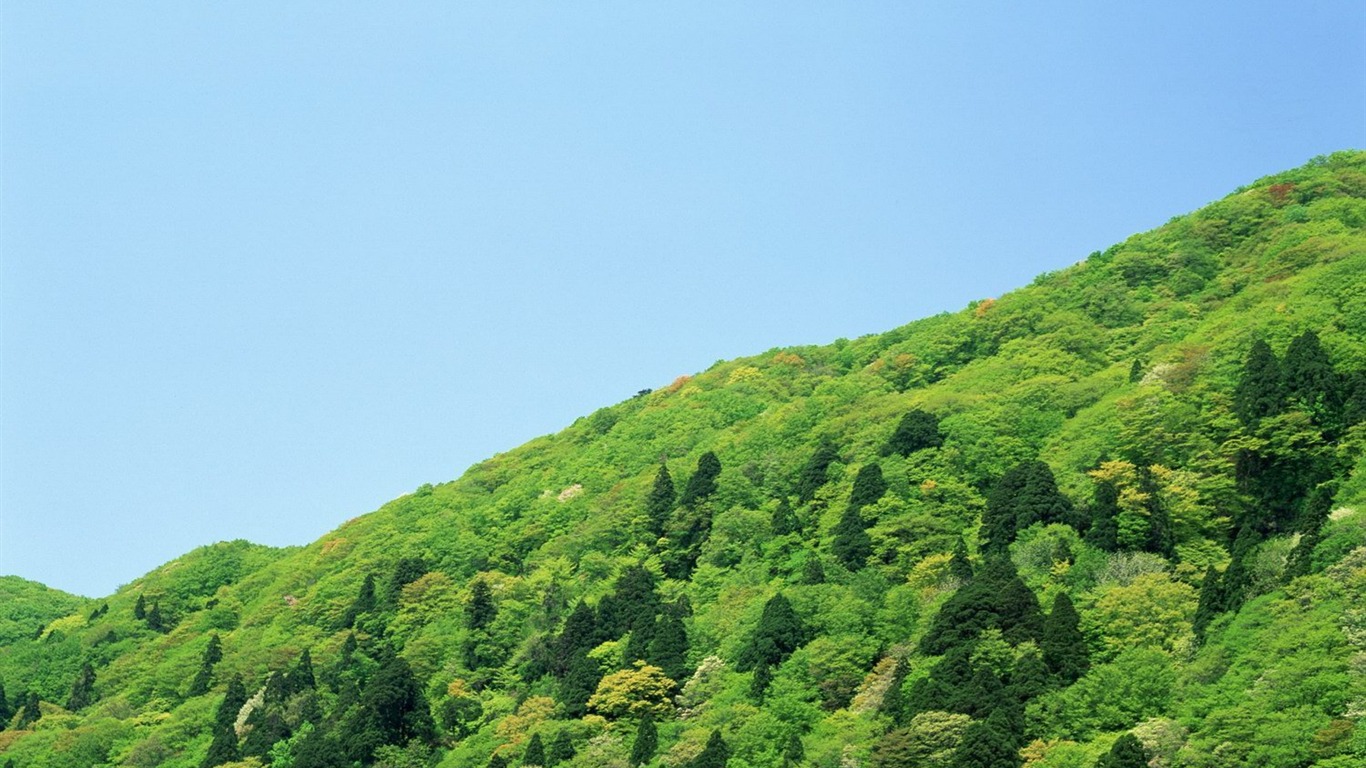 自然風光精選(十) #14 - 1366x768