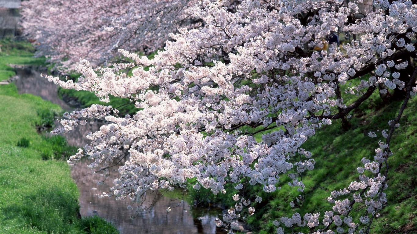 自然风光精选(十)31 - 1366x768