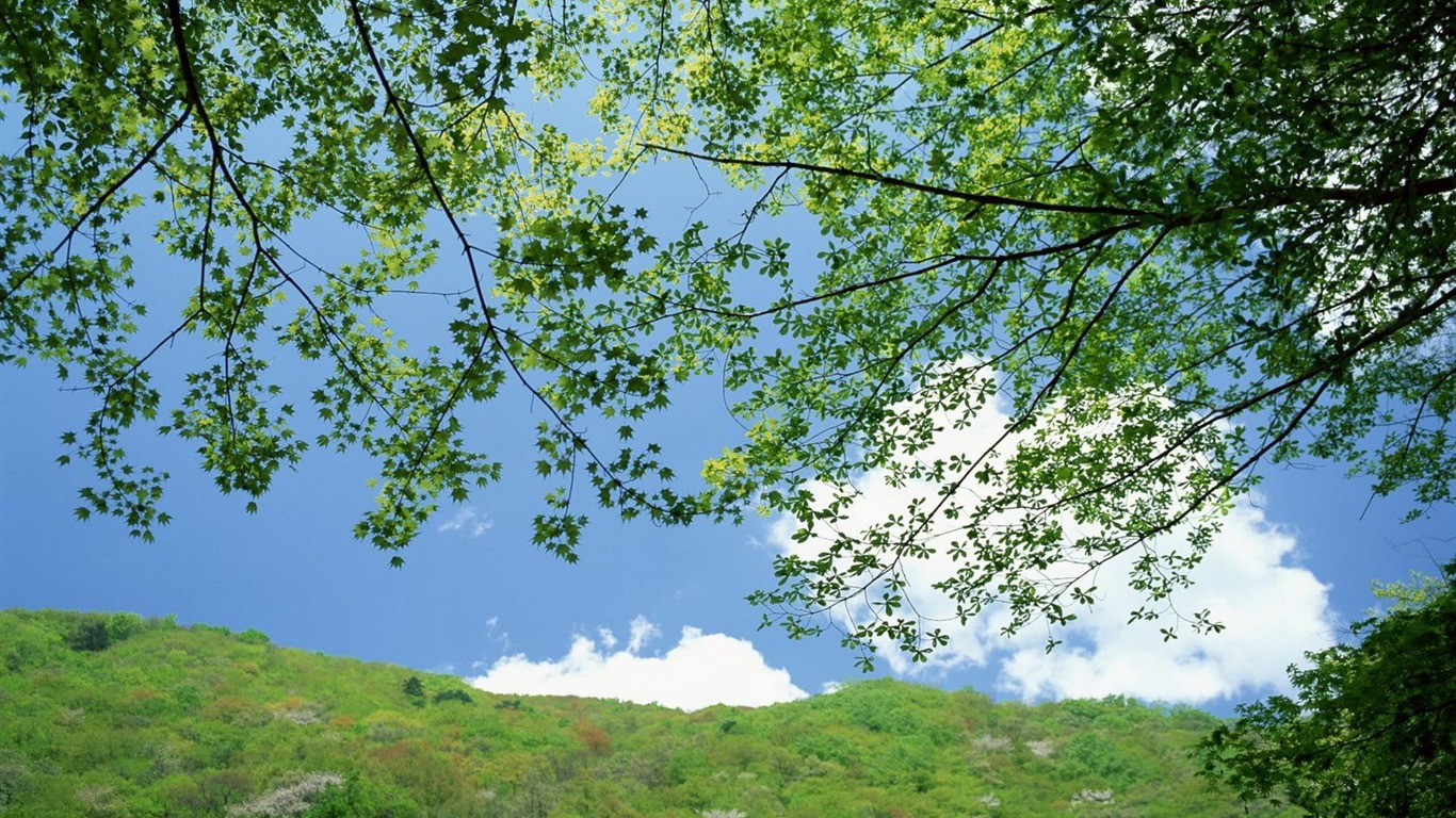自然風光精選(十) #32 - 1366x768