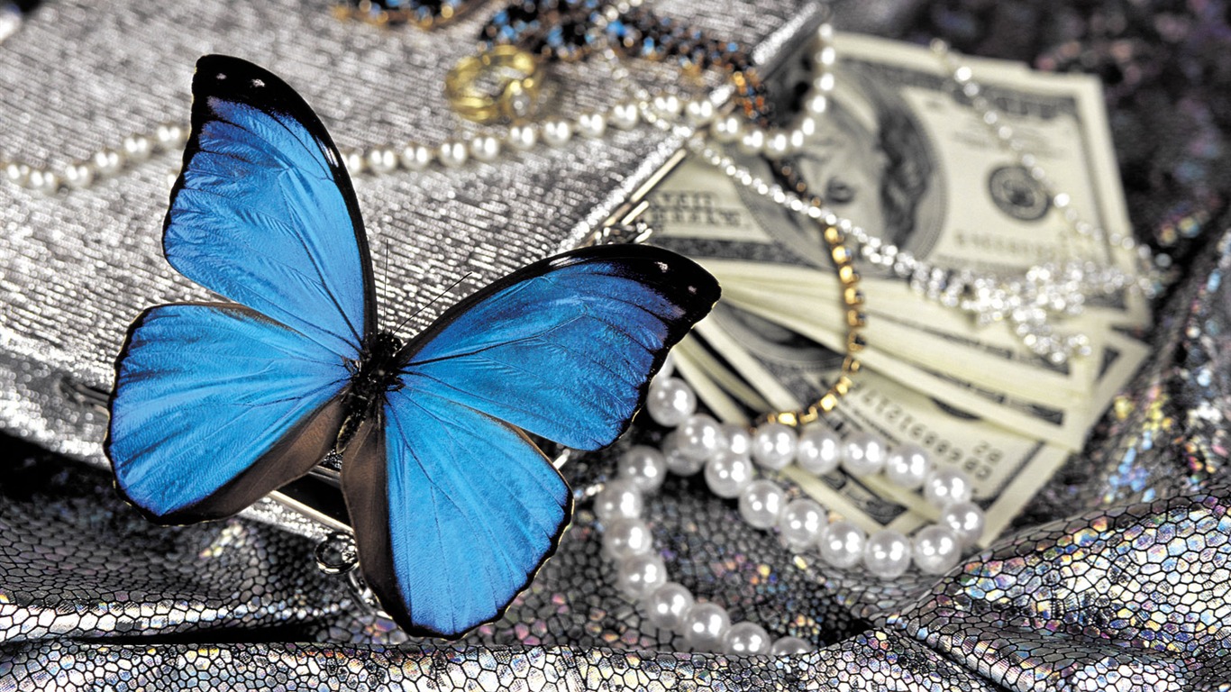 Las mariposas y las flores fondos de escritorio de disco (1) #10 - 1366x768