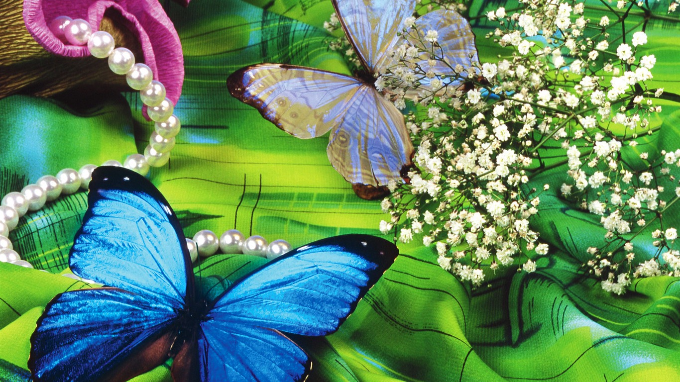 Las mariposas y las flores fondos de escritorio de disco (1) #18 - 1366x768