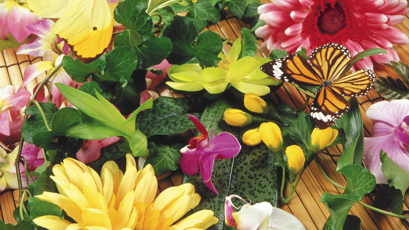 蝶戀花 壁紙專輯(一) #19 - 1366x768