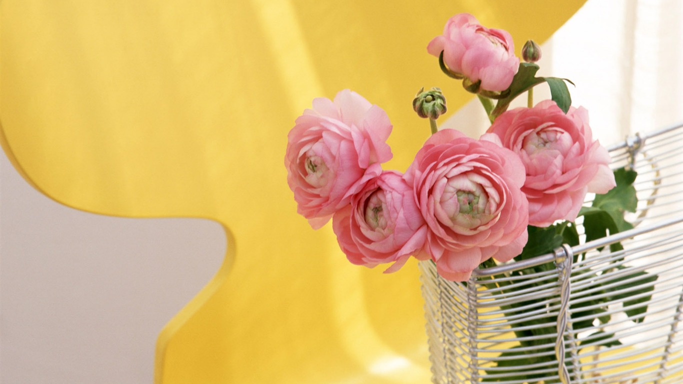 Room Flower photo wallpapers #27 - 1366x768