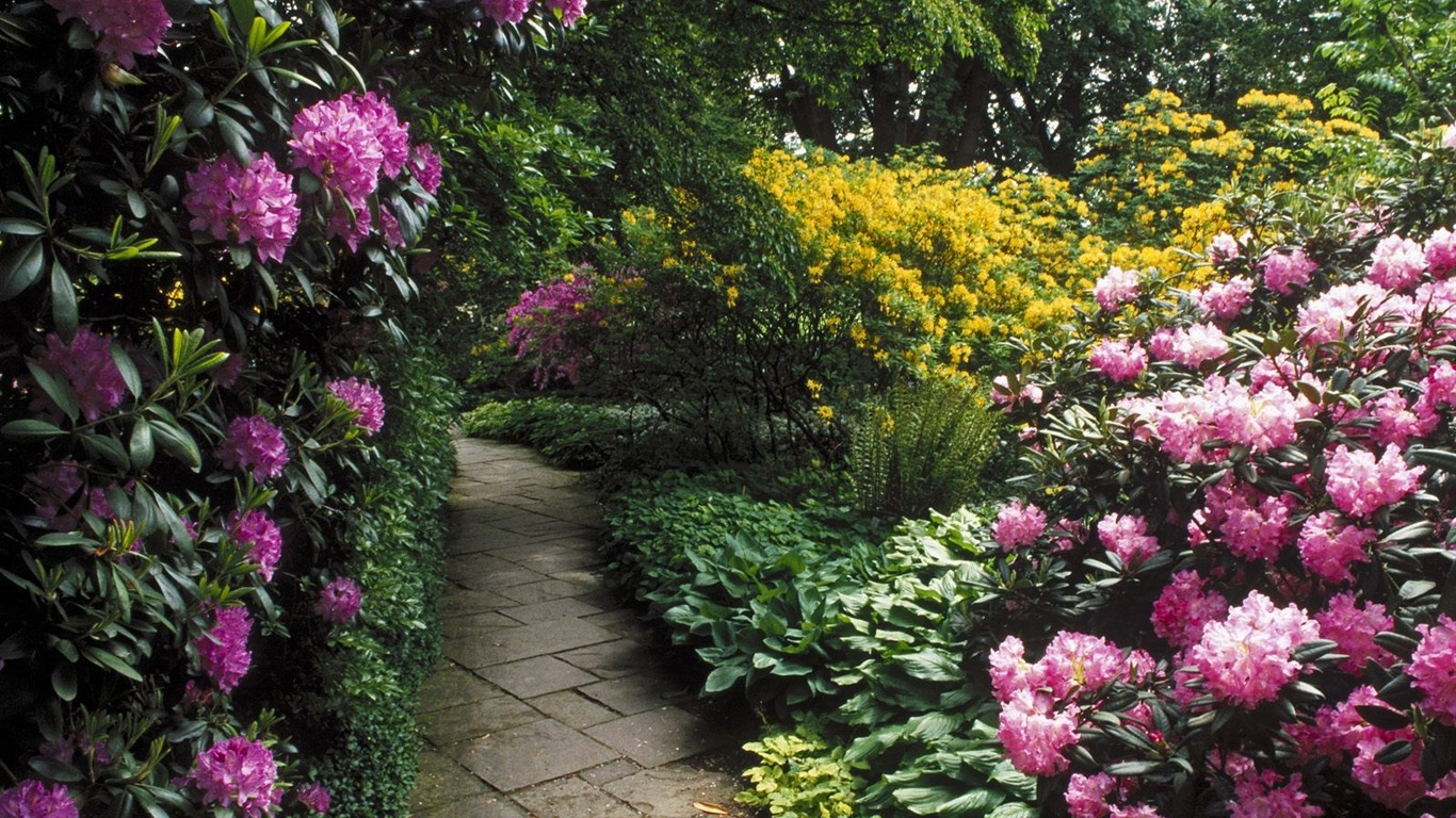 Garden Art Wallpapers #6 - 1366x768