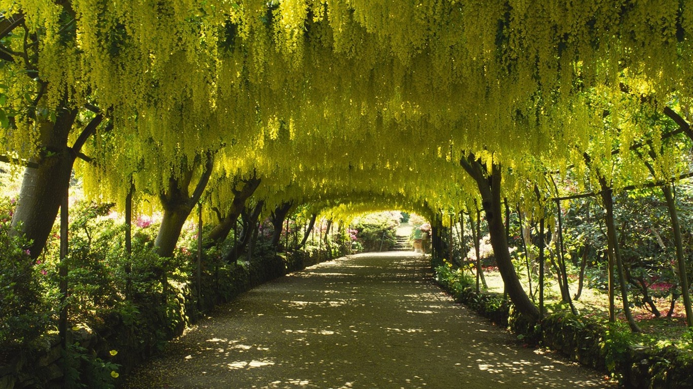 Fonds d'écran Art Garden #18 - 1366x768