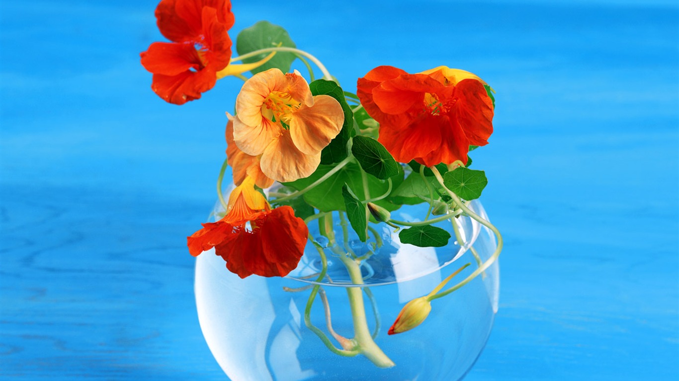 Floral Art Wallpaper #8 - 1366x768