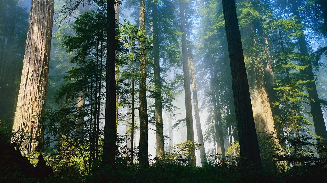 Magic přírodní krásy #1 - 1366x768