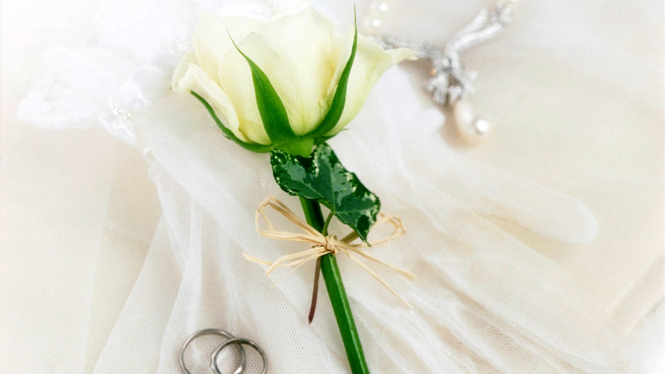 Wedding Items wallpaper (5) #16 - 1366x768