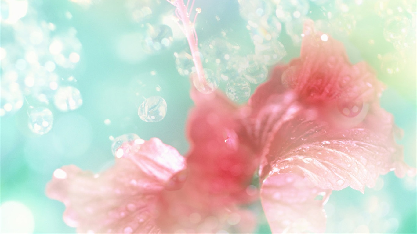 夢幻CG背景花卉壁紙 #5 - 1366x768