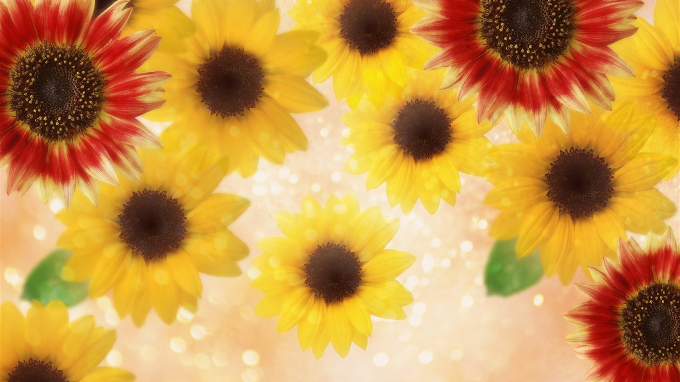 夢幻CG背景花卉壁紙 #14 - 1366x768