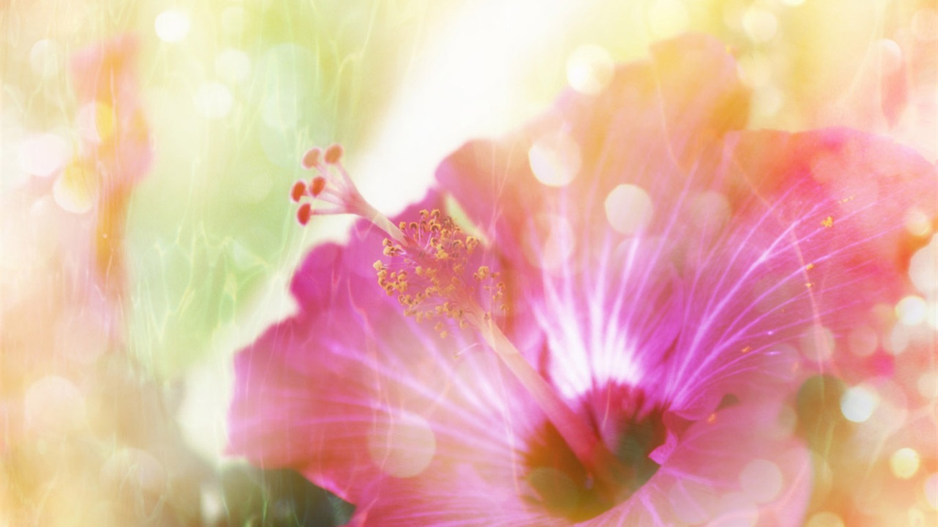 夢幻CG背景花卉壁紙 #18 - 1366x768