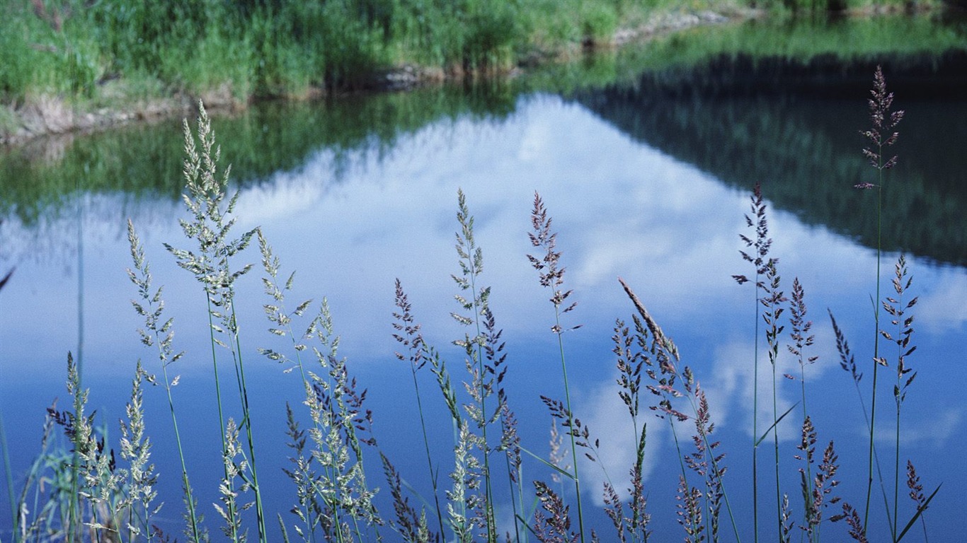 Un décor naturel magnifique Wallpaper #8 - 1366x768