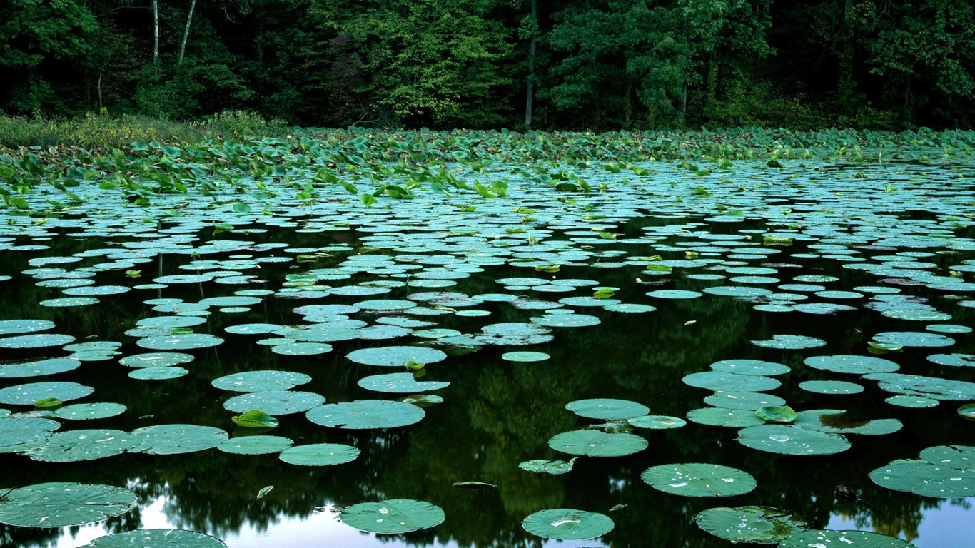 Webshots Landschaftsfotografie Tapete #12 - 1366x768