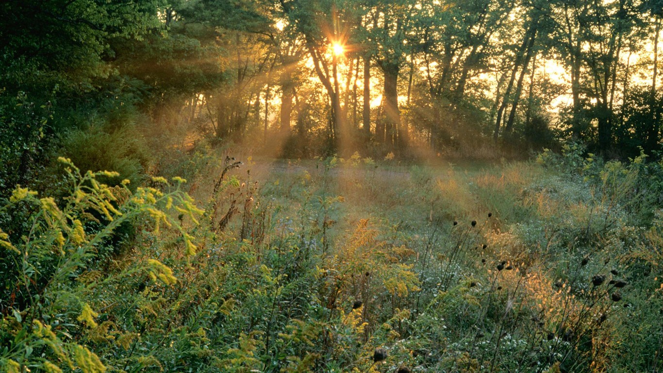 Webshots Landschaftsfotografie Tapete #17 - 1366x768