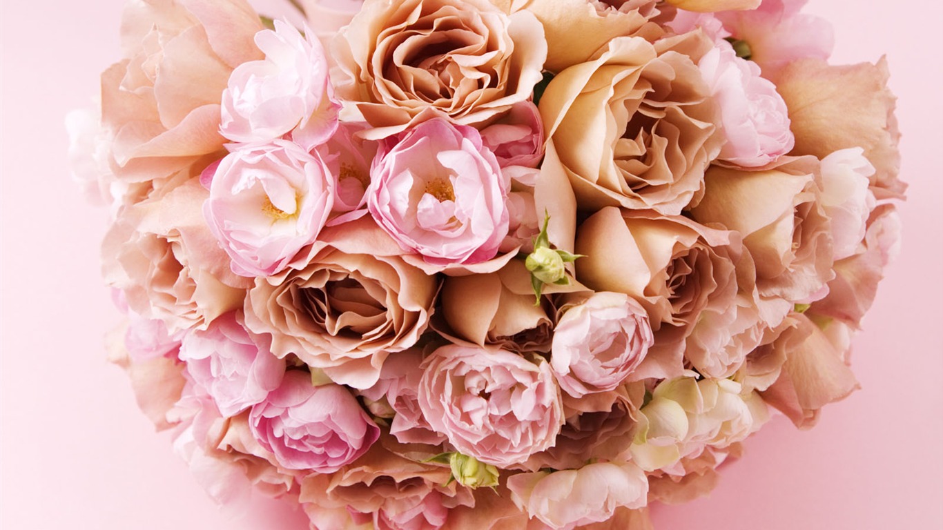 Wedding Flowers Wallpapers (1) #6 - 1366x768