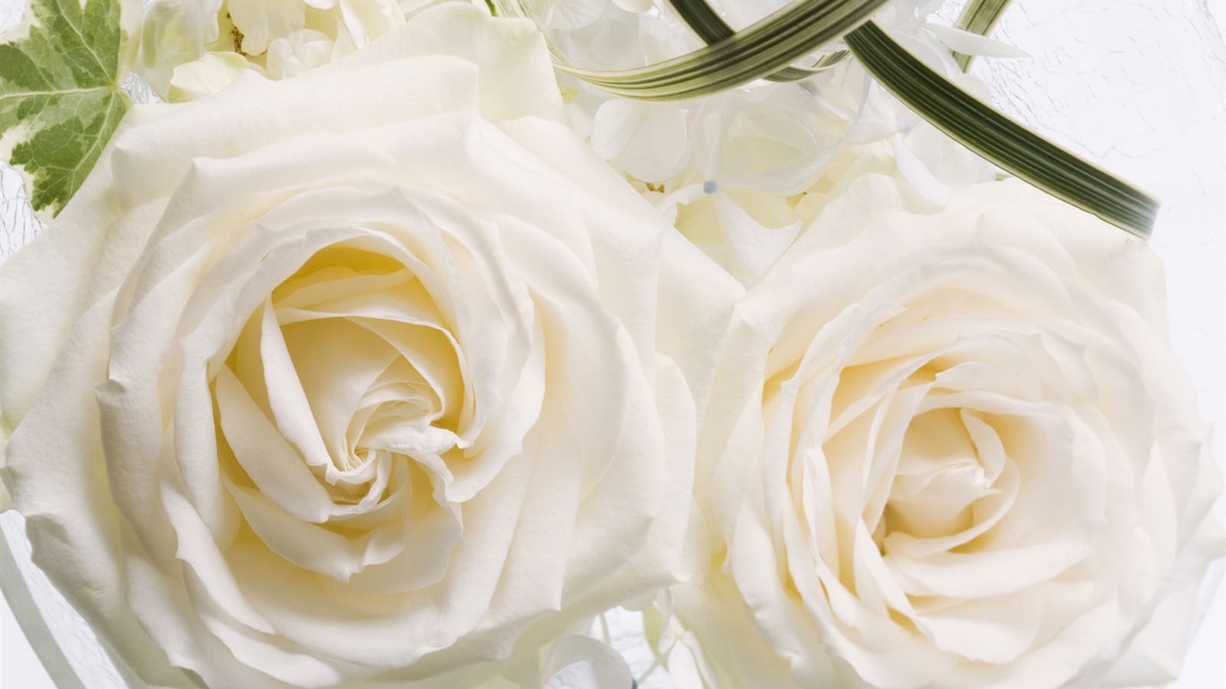 Wedding Flowers Wallpapers (1) #16 - 1366x768