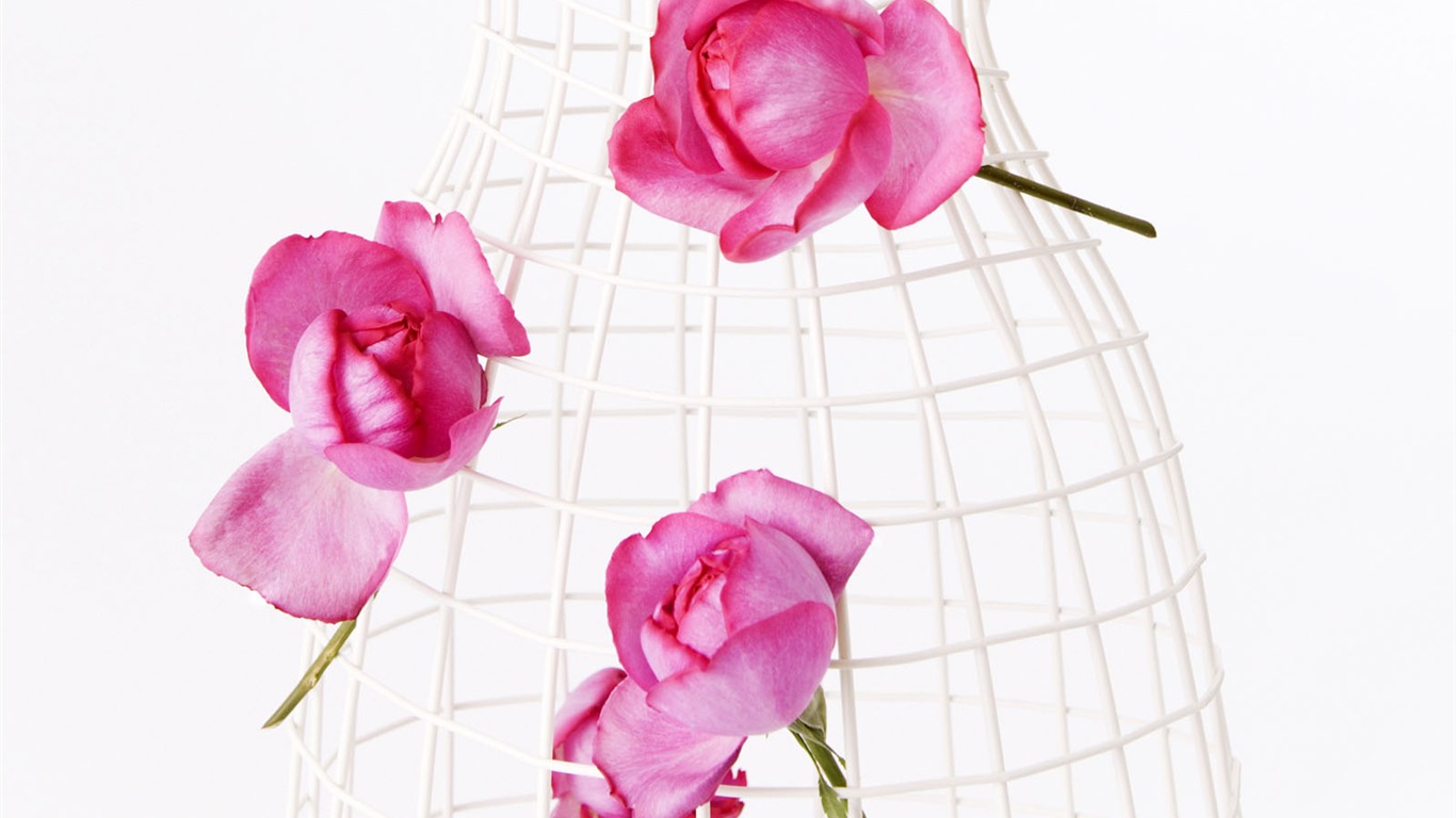 Wedding Flowers Wallpapers (1) #20 - 1366x768