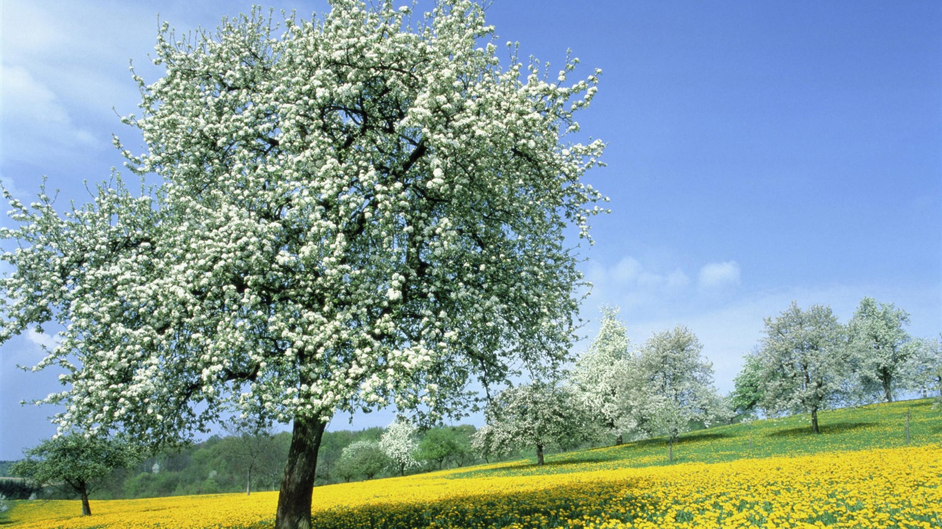 Okouzlující přírodní scenérie HD Wallpaper (1) #4 - 1366x768