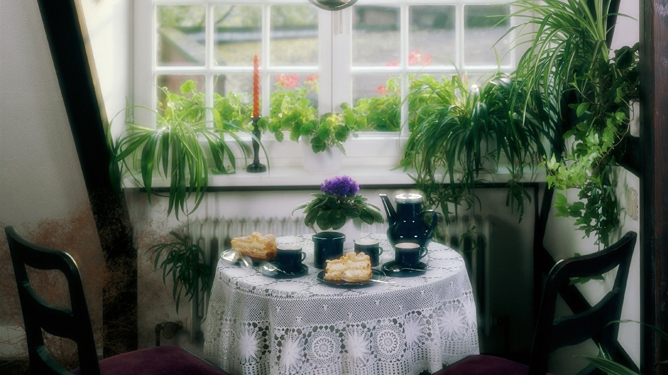 Home Still Life Wallpaper (6) #10 - 1366x768