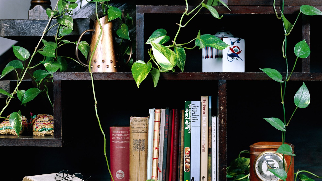 Home Still Life Wallpaper (7) #1 - 1366x768
