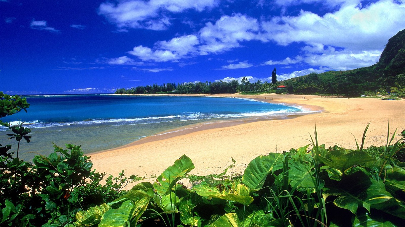 Hermoso paisaje de Hawai Wallpaper #11 - 1366x768