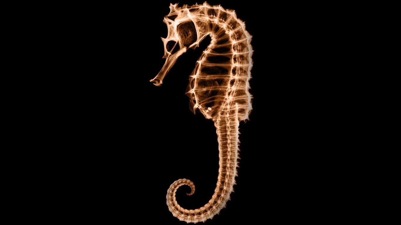 výhledu fluorescence širokoúhlý Tapeta #7 - 1366x768