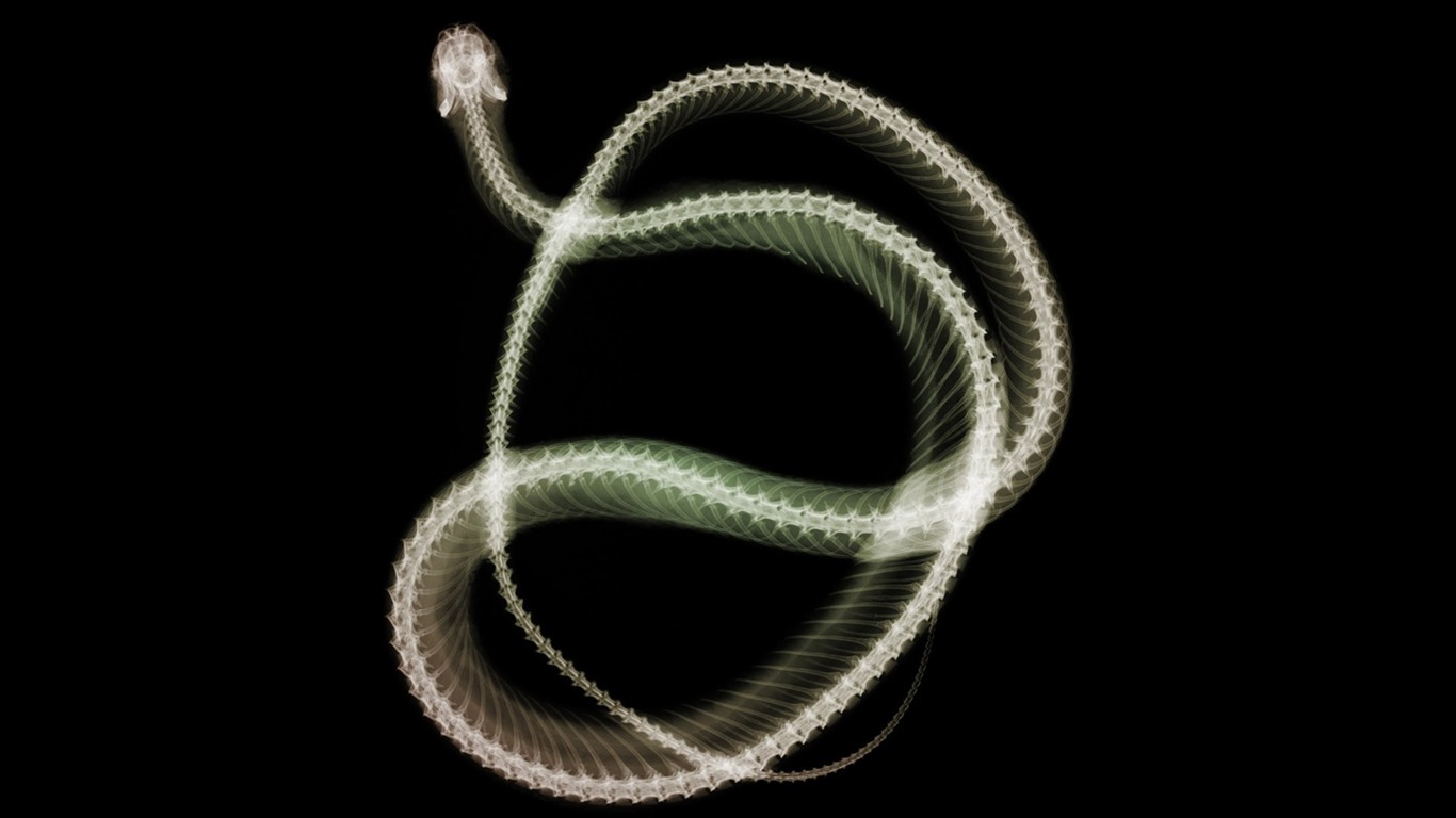 výhledu fluorescence širokoúhlý Tapeta #10 - 1366x768