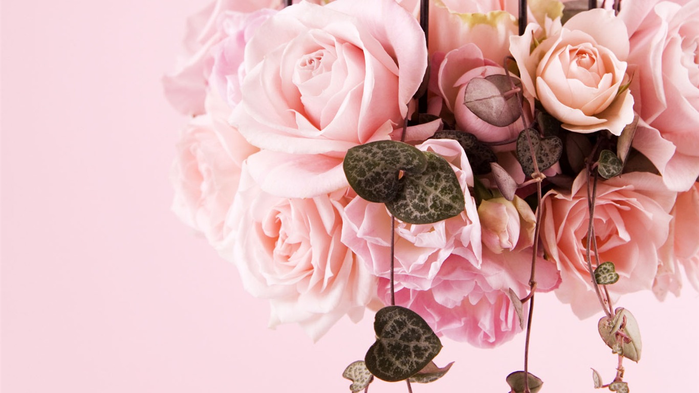 婚禮鮮花 壁紙(四) #3 - 1366x768