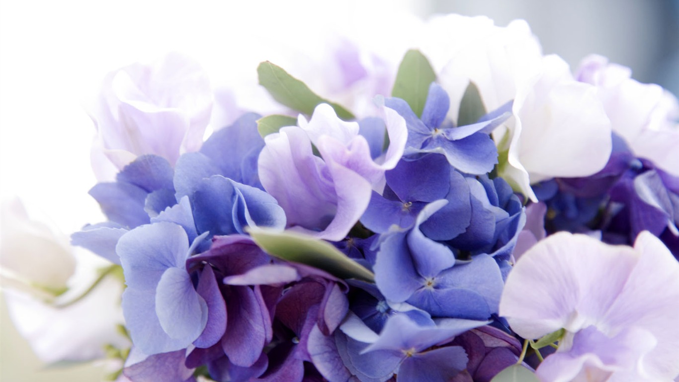 Wedding Flowers Wallpapers (4) #9 - 1366x768