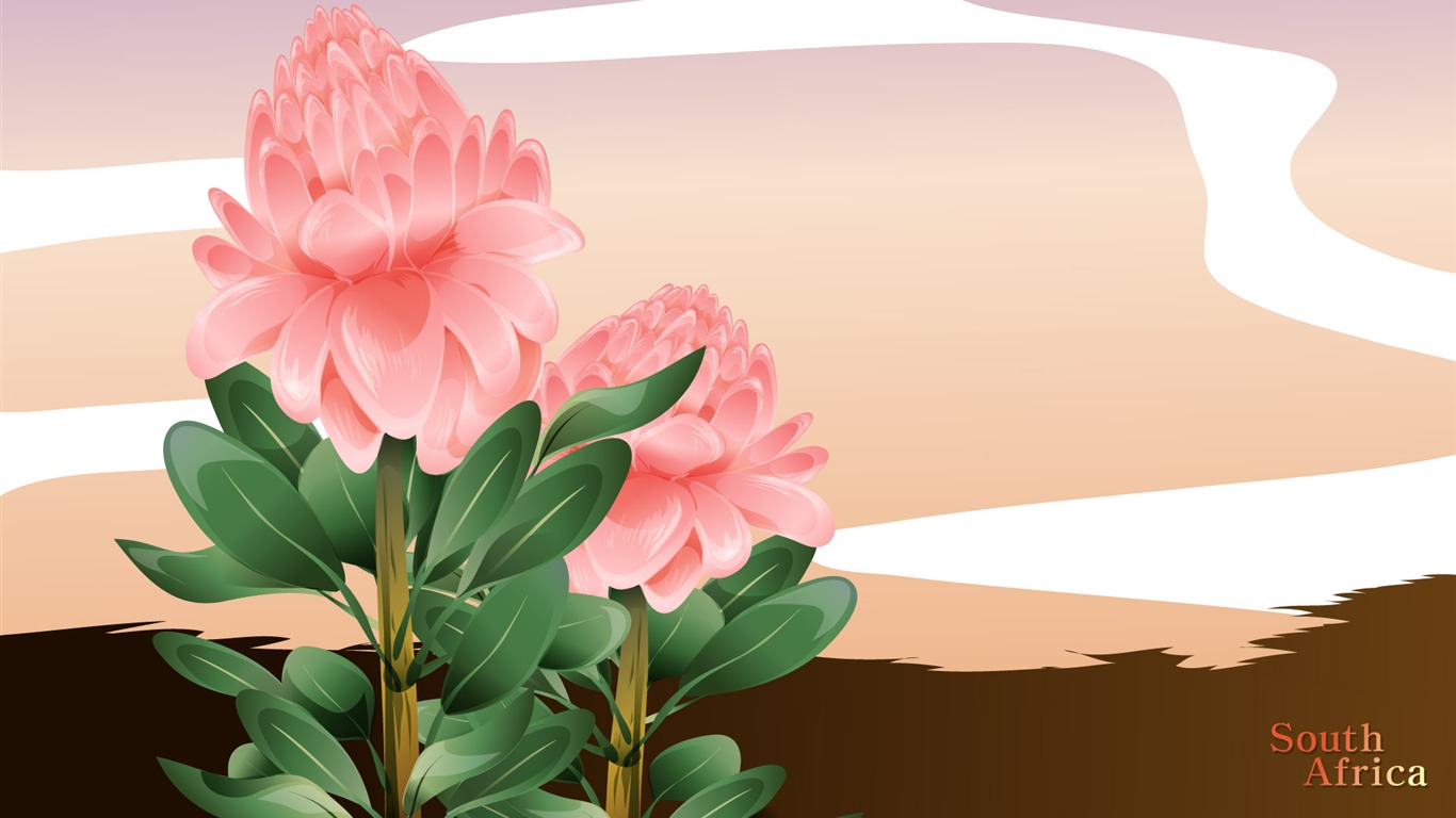 國家與鮮花 壁紙(二) #4 - 1366x768