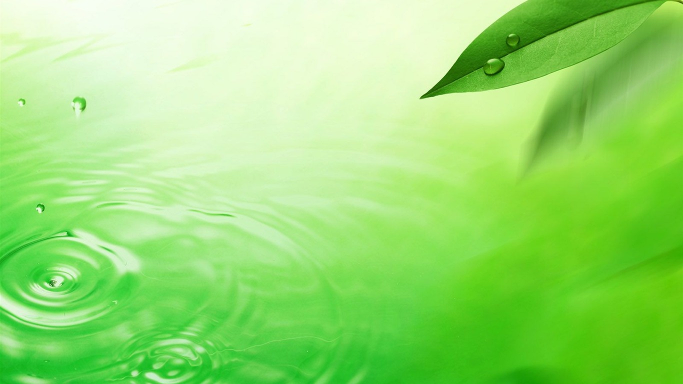 Watermark svěží zelený list tapety #4 - 1366x768