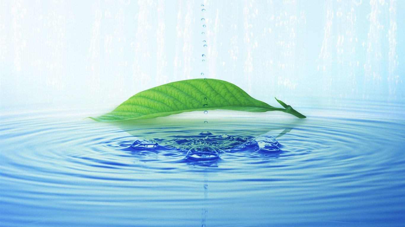 Watermark svěží zelený list tapety #12 - 1366x768