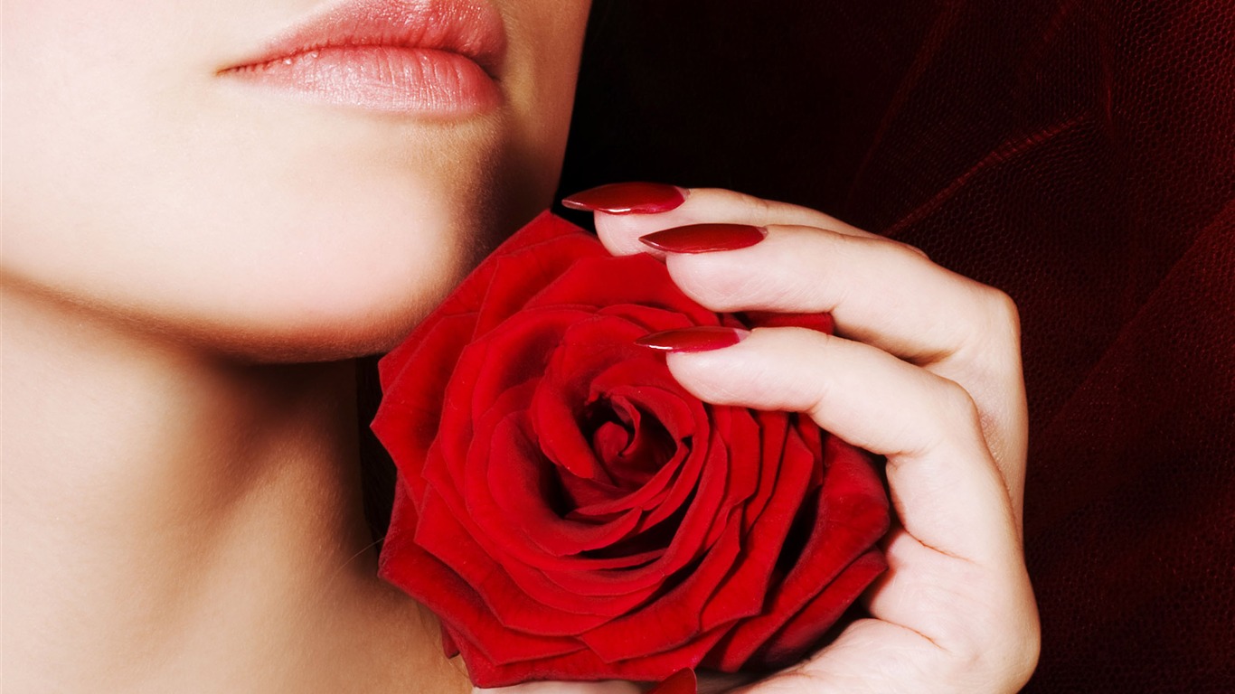 Velké Rose Foto tapety (1) #19 - 1366x768