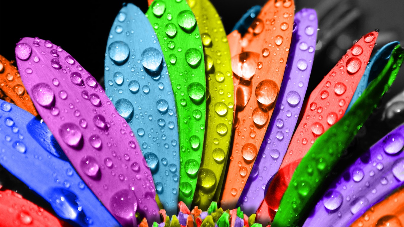 Bright colorful wallpaper (2) #1 - 1366x768