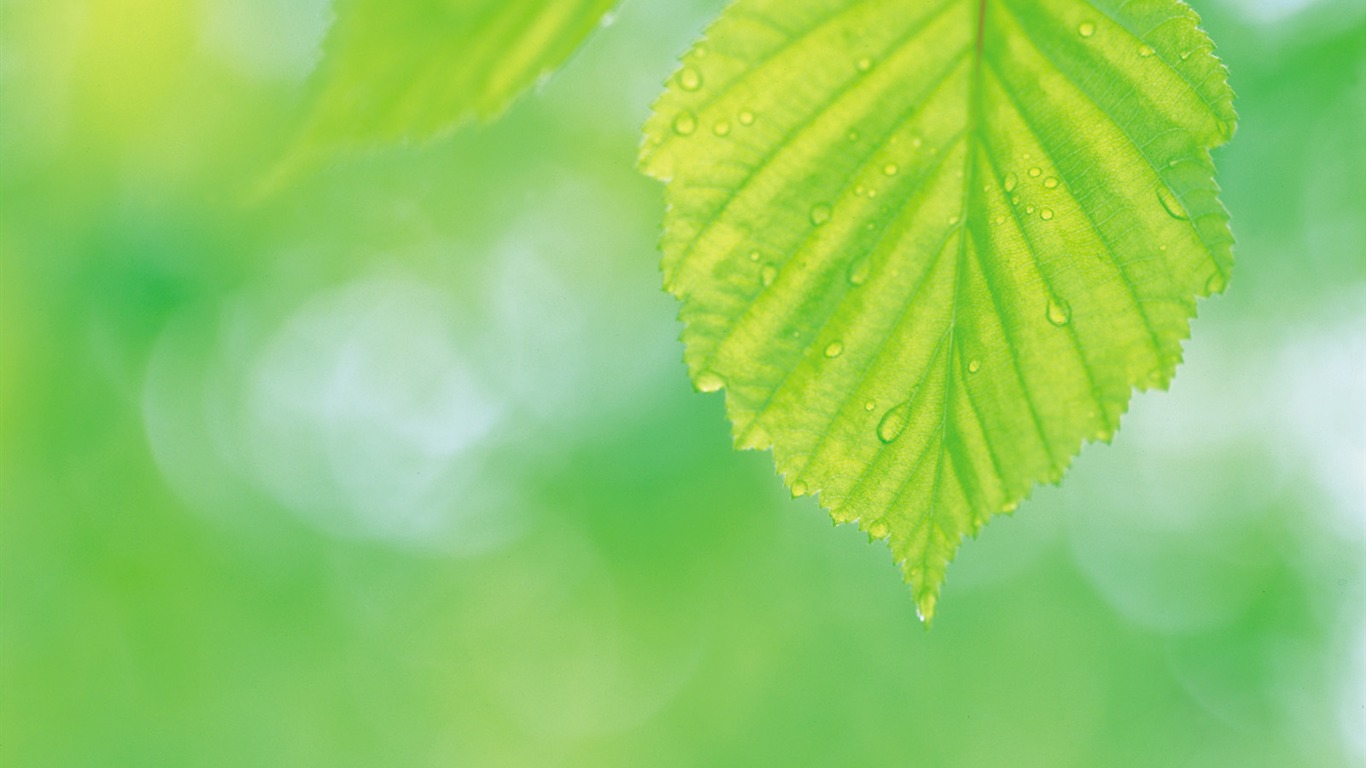 韓國自然風光 #42 - 1366x768