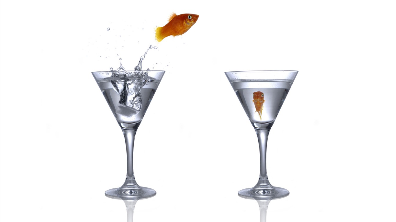 Jumping Goldfish Tapete #4 - 1366x768