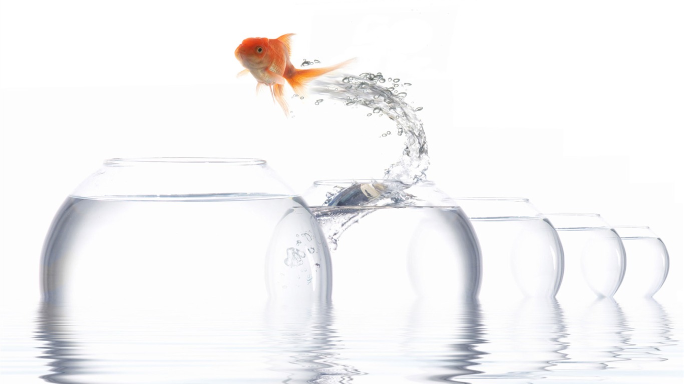 Jumping goldfish wallpaper #5 - 1366x768