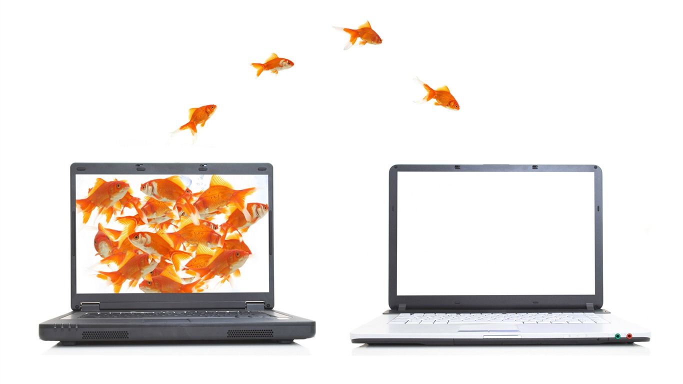 Jumping goldfish wallpaper #6 - 1366x768