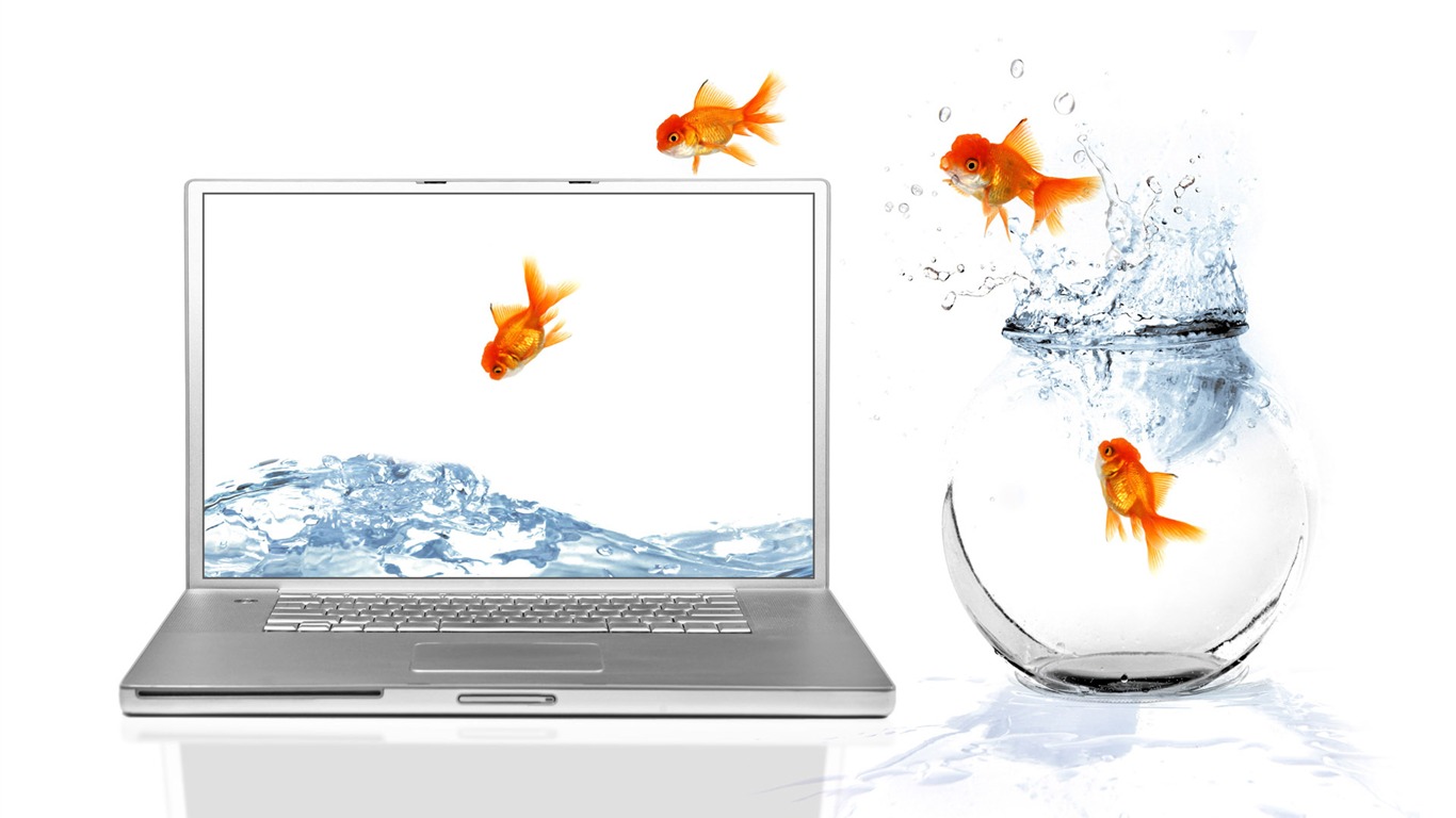 Jumping wallpaper poisson rouge #11 - 1366x768