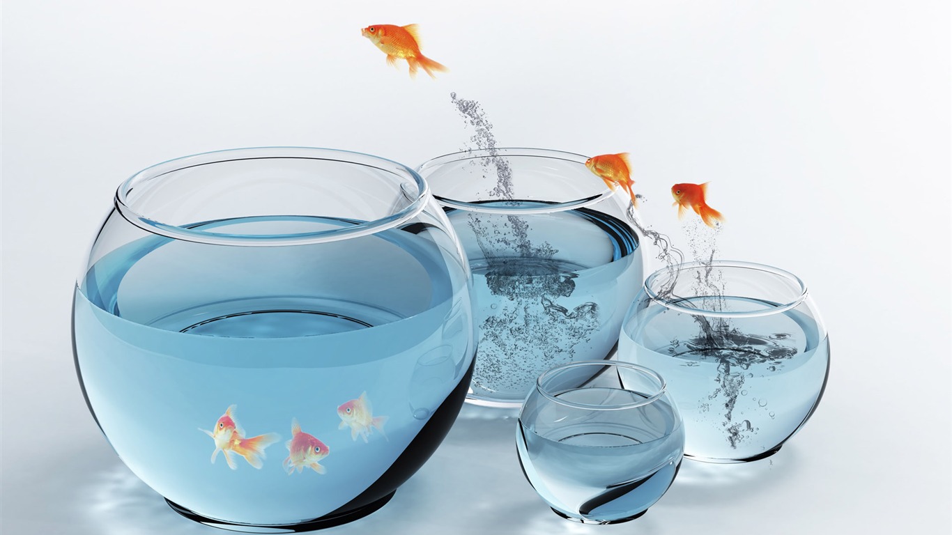 Jumping Goldfish Tapete #13 - 1366x768