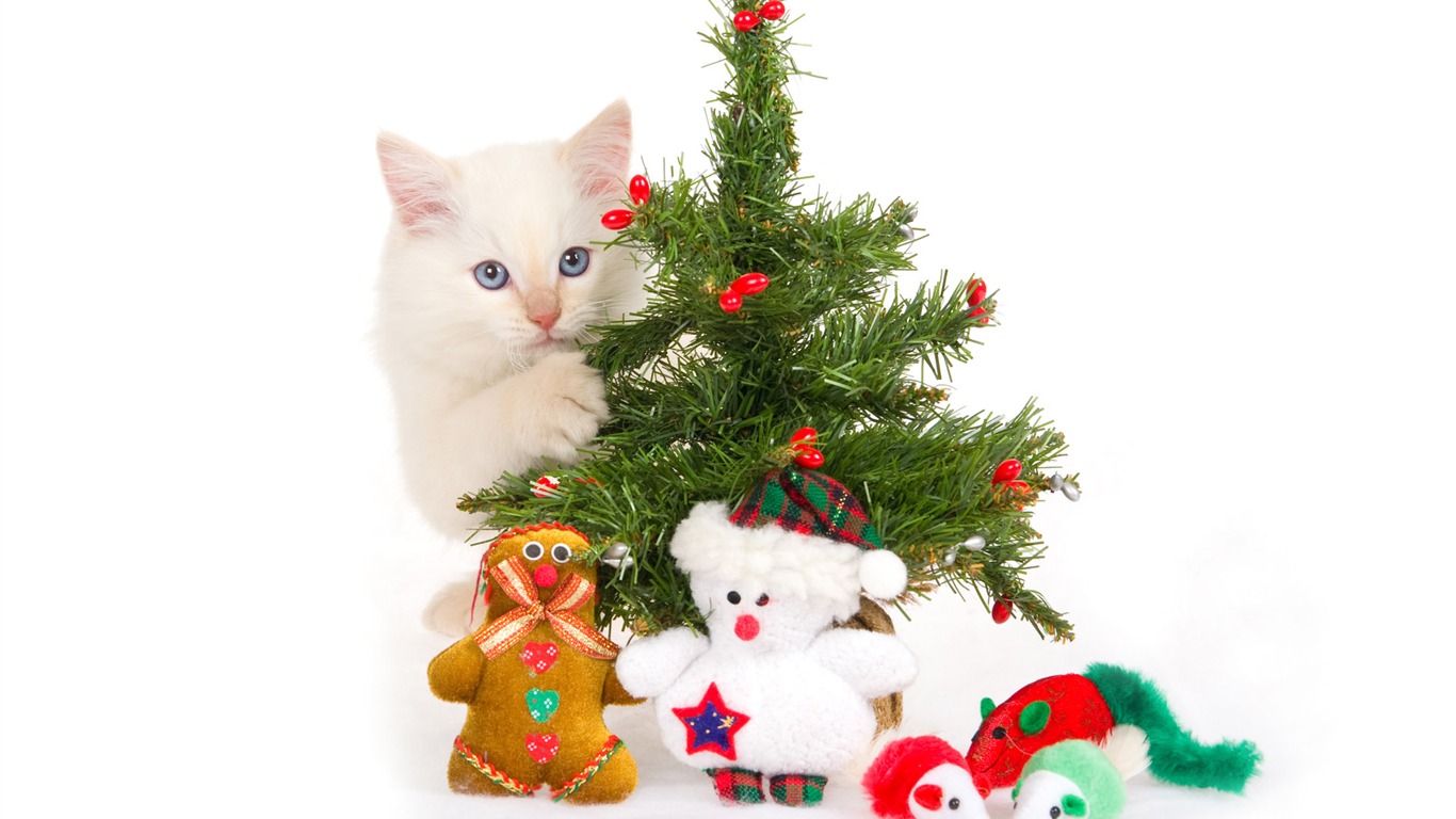 1920 Christmas Theme HD Wallpapers (9) #13 - 1366x768