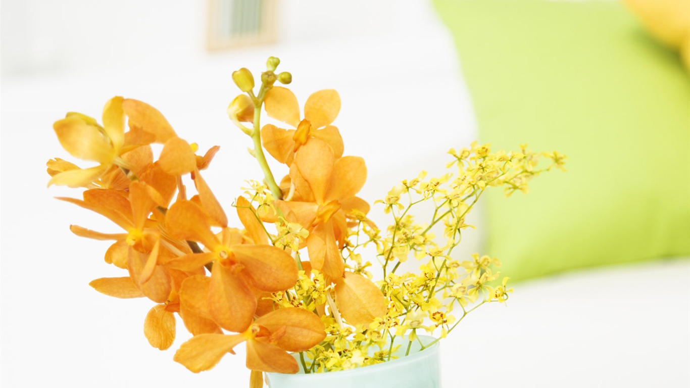 Home Still Life Wallpaper (12) #12 - 1366x768
